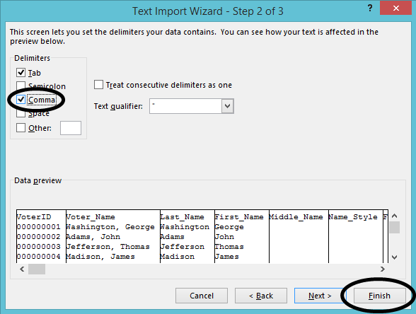Text import wizard, delimiter section